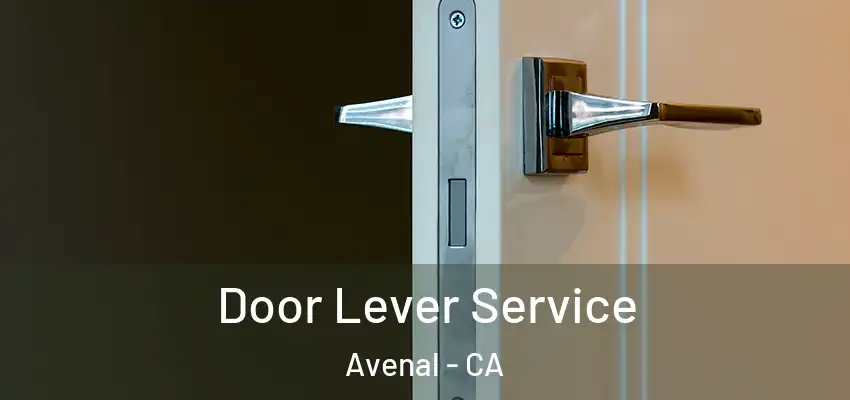  Door Lever Service Avenal - CA